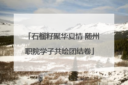 石榴籽聚华夏情 随州职院学子共绘团结卷